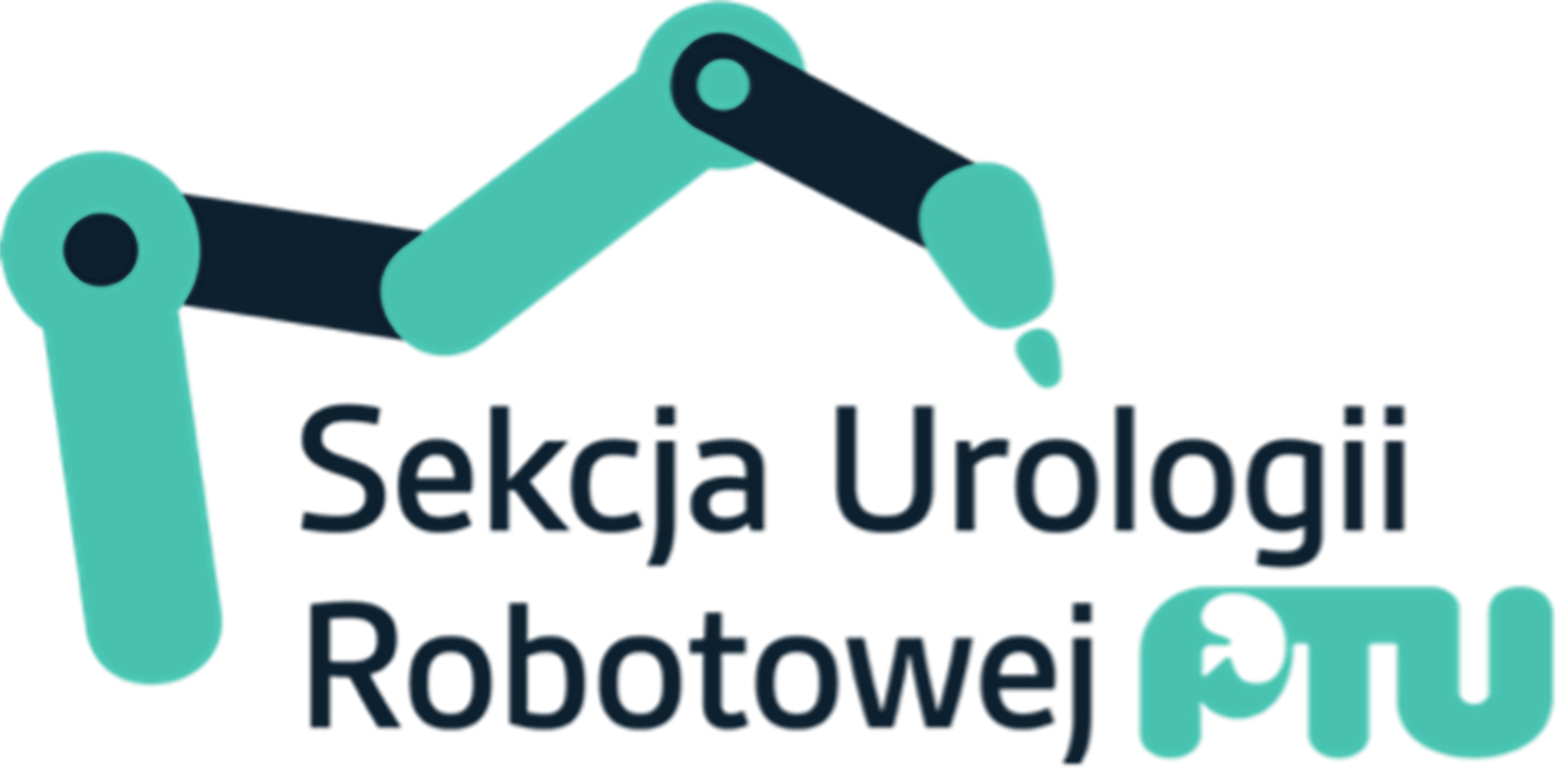 Sekcja Urologii Robotowej